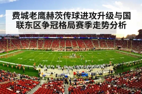 american football stadium night crowd